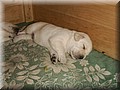 PICT0272.JPG