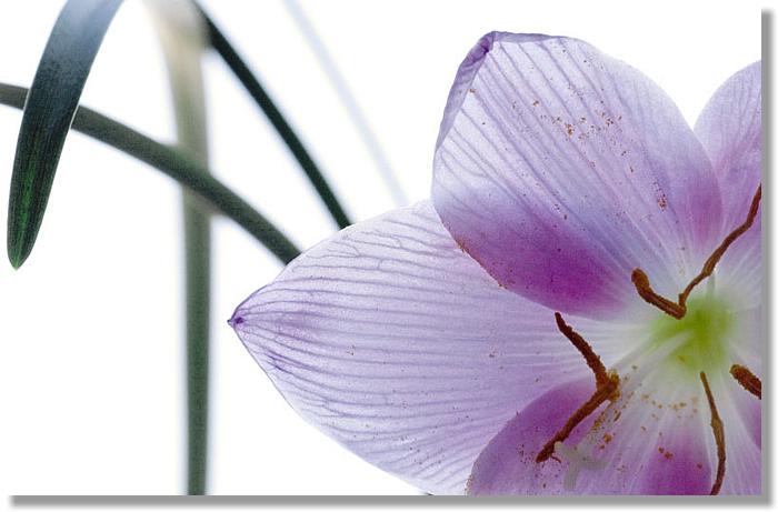 2005-06-16