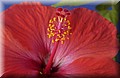 DSC_0019.JPG