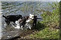 DSC_0060.JPG