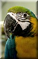 DSC_01787897.JPG