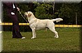 DSC_1363.JPG