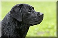 DSC_1627.JPG