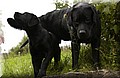 DSC_1923.JPG