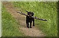 DSC_2155.JPG