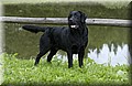 DSC_2354.JPG