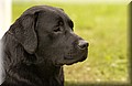 DSC_2366.JPG