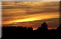DSC_2394.JPG