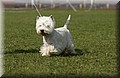 DSC_2991.JPG