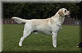 DSC_3159.JPG