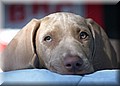 DSC_32199999.jpg
