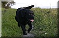DSC_3450.JPG