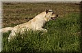 DSC_3584.JPG