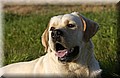 DSC_3602.JPG