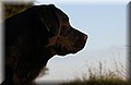 DSC_3727.JPG