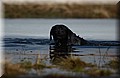 DSC_3910.JPG