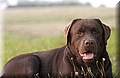 DSC_4075.JPG