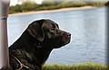 DSC_4339.JPG