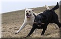 DSC_4366.JPG