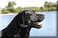 DSC_4372.JPG