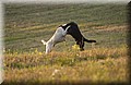 DSC_4787.JPG