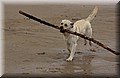 DSC_4880.JPG