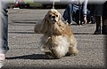 DSC_5056.JPG