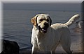 DSC_5427.JPG