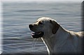 DSC_5428.JPG