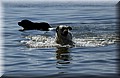 DSC_5431.JPG