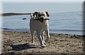 DSC_5440.JPG