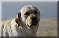 DSC_5493.JPG