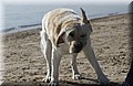 DSC_5494.JPG