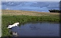 DSC_5495555.jpg