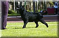 DSC_5547.JPG