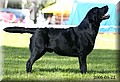 DSC_5559999.jpg