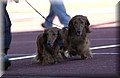 DSC_5612.JPG