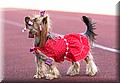 DSC_5647777.jpg