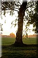DSC_5705555.jpg