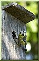 DSC_5727777.jpg