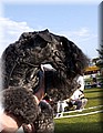 DSC_59322222.jpg
