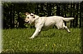 DSC_6117.JPG