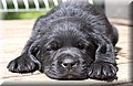 DSC_6694.JPG