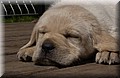 DSC_6710.JPG