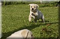 DSC_6866.JPG