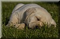 DSC_6967.JPG
