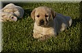 DSC_7005.JPG