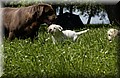 DSC_7042.JPG