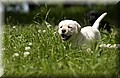 DSC_7057.JPG