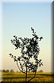 DSC_721444.jpg